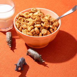 EnviroKidz Organic Rhino Rolls Cereal, Cinnamon Bun