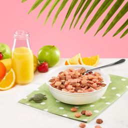 Envirokidz Turtle Splash Cereal, Strawberry Chocolate