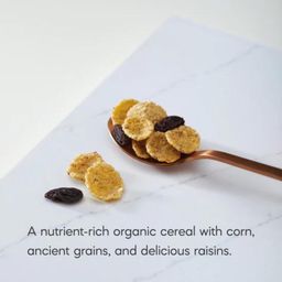 Organic Mesa Sunrise Cereal