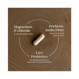 All Flora Probiotic Flora Fortify