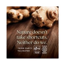 All Flora Probiotic Flora Fortify