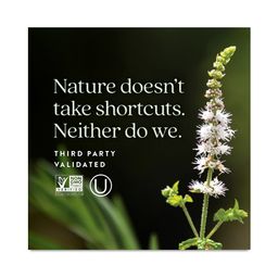 All Flora Probiotic Menopause Balance