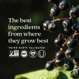Elderberry Force