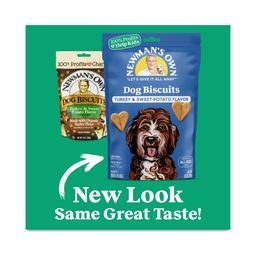 Dog Biscuits, Turkey & Sweet Potato