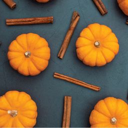 Nut & Seed Butter, Pumpkin Spice