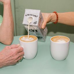 Oat Milk, Barista Edition