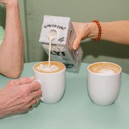 Oat Milk, Barista Edition