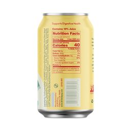 Prebiotic Soda, Crisp Apple