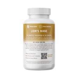 Lion's Mane Mushroom Superfood