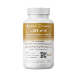 Lion's Mane Mushroom Superfood