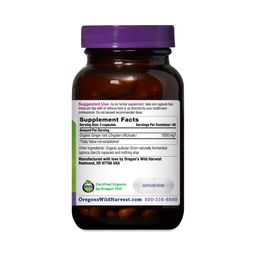 Organic Ginger Capsules