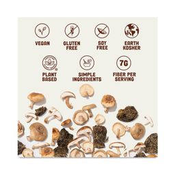Mushroom Jerky, Teriyaki