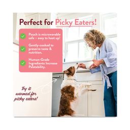 Wallys Salmon N' Rice Homesylte Dog Meal