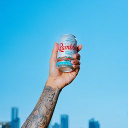 Sparkling Mineral Water, Original