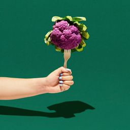Compostable Forks