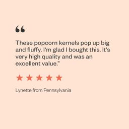 Movie Popcorn Kernels