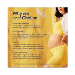 Natal Choline