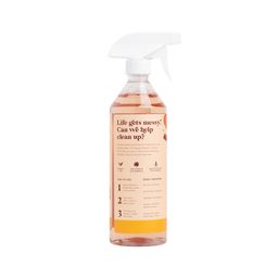 All-Purpose Cleaner, Pumpkin & Cinnamon Spice