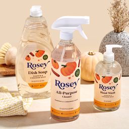 Dish Soap, Pumpkin & Cinnamon Spice