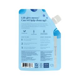 Glass & Mirror Cleaner Concentrate, Unscented