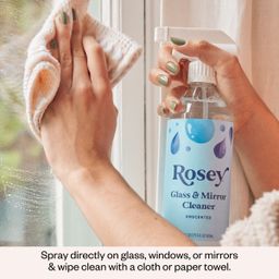 Glass & Mirror Cleaner, Unscented