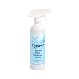 Laundry Stain Remover, Unscented