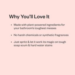 Tub & Tile Cleaner