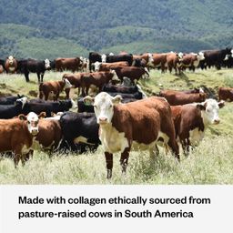Grass-Fed Collagen Peptides, Vanilla