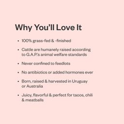 Grass-Fed Organic Ground Beef 85/15