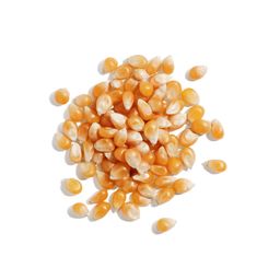 Movie Popcorn Kernels
