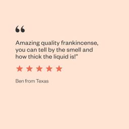 Organic Frankincense Essential Oil