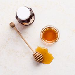 Organic Honey Bear