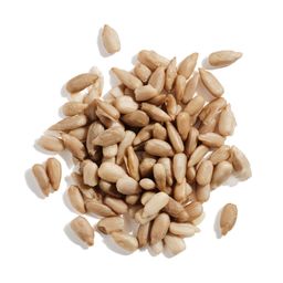 Organic Sprouted Sunflower Seeds, Salted