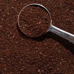 Pumpkin Spice Coffee, Regeneratively Grown Organic, Ground