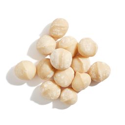 Regeneratively Grown Organic Dry Roasted & Salted Macadamia Nuts