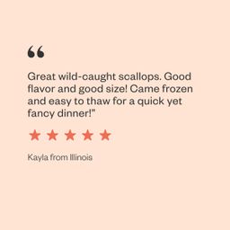 Wild-Caught Sea Scallops