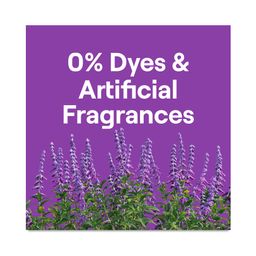 Easy Dose Ultra Concentrated Laundry Detergent, Fresh Lavender