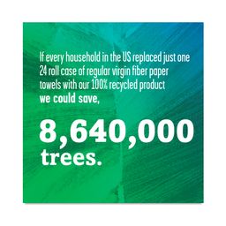Unbleached Paper Towels, 100% Recycled Paper