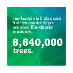 Unbleached Paper Towels, 100% Recycled Paper