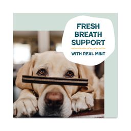 Dental Sticks Dog Treats, Banana Bone-anza, Value Size