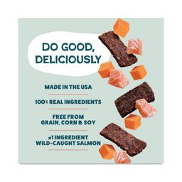Jerky Bites Dog Treats, Salmon Loves Butternut, Value Size