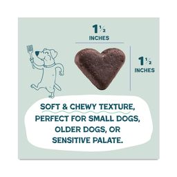 Soft-Baked Biscuit Dog Treats, Blueberried Treasure, Value Size