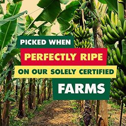 Organic Dried Fruit, Mango Strips, Value Size