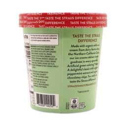 Organic Ice Cream Pint, Mint Chip