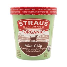 Organic Ice Cream Pint, Mint Chip