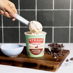 Organic Ice Cream Pint, Mint Chip