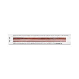 Salmon Snack Sticks, Beech Smoked