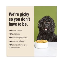 Essential Clusters Whole Grain Dry Dog Food, Beef & Chicken