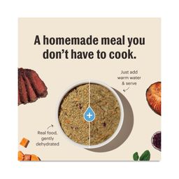 Wholemade Whole Grain Beef & Oat Dog Food, 4 lb
