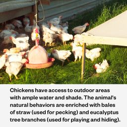 Organic Chicken Box